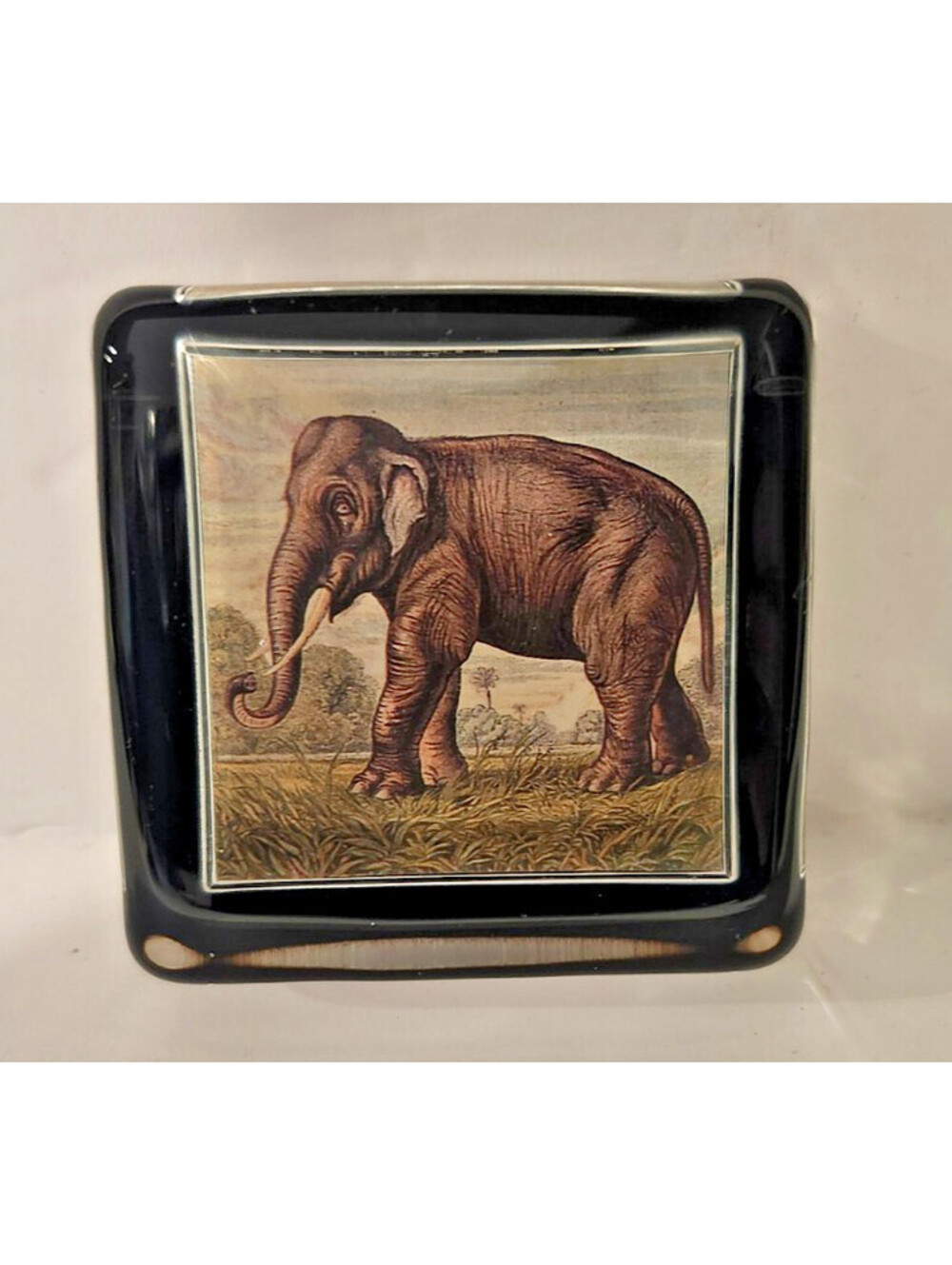 John Derian Decoupage Glass Paperweight Mini Square Charm Elephant Antique Print